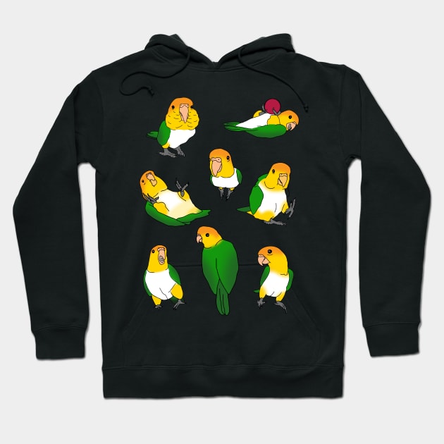 caique doodle pattern Hoodie by FandomizedRose